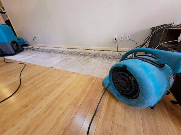 Professional Water Damage Repair technician working in Brielle, NJ
